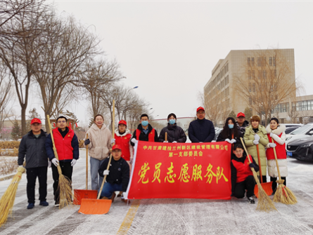 新區(qū)公司第一黨支部開展學(xué)雷鋒志愿服務(wù)活動